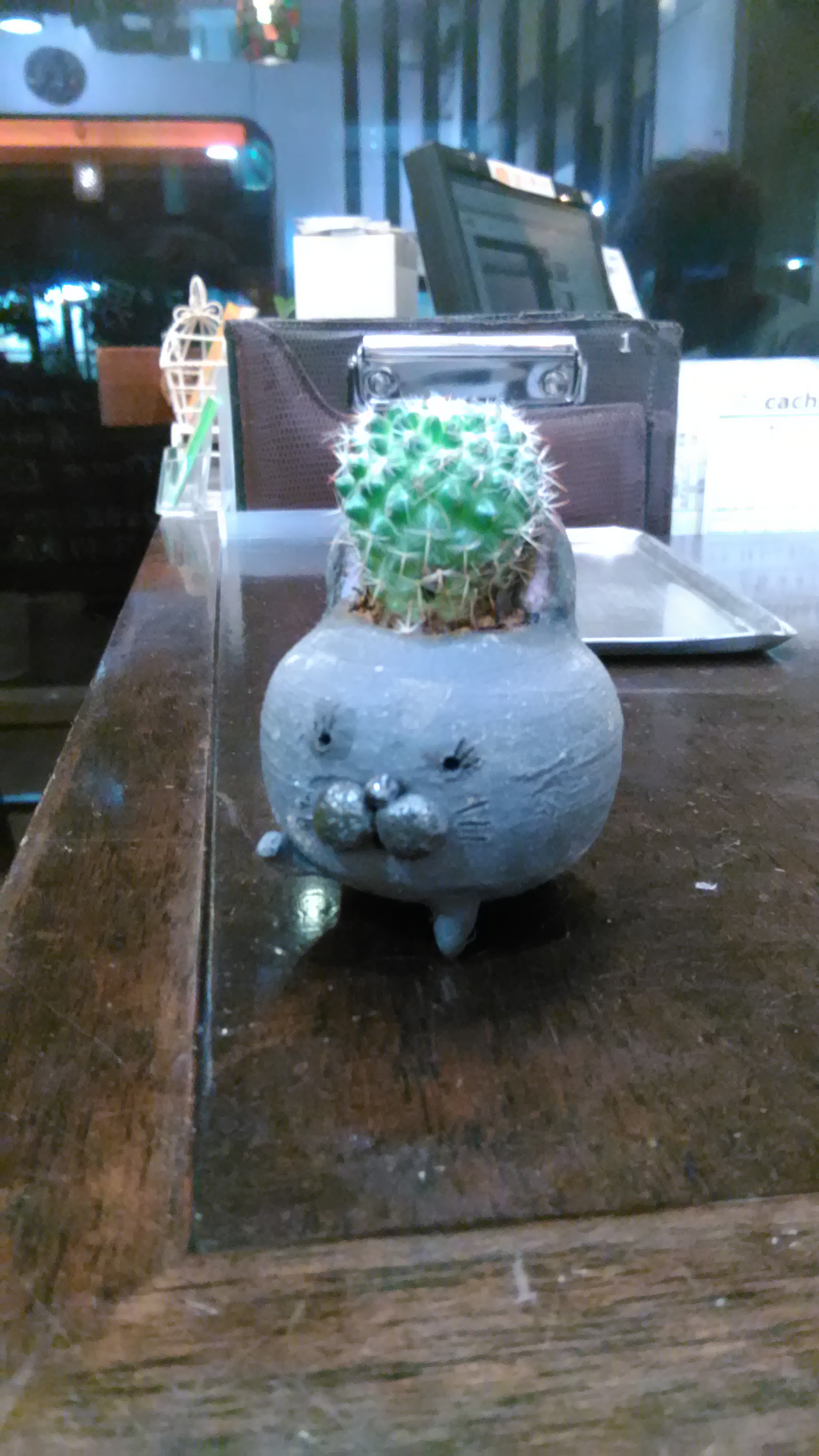 一石二鳥オブジェ♡鉢付き♡ノーム♡置物♡1点物ॱ⋅.˳˳.⋅˙ॱᐧ.˳˳.⋅ઇଓ チャーム （観葉植物）おまかせミニ観葉 リトルドッグ 鉢おまかせ（1